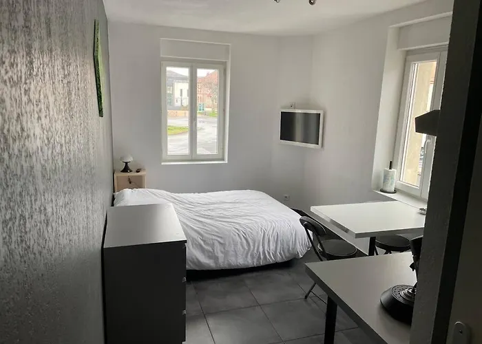 Appartamento Studio2 Proche Fac Climatisé